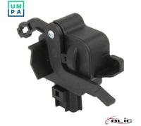 BLIC 6010-55-005449P Tailgate lock