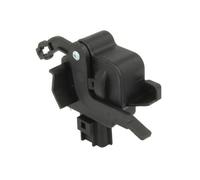 Tailgate Lock BLIC 6010-55-005449P