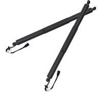 Tailgate Power Lift Support 2 Pieces Power Tailgate Struts For BMW For X2 F39 2018-2020 2021 Liftgate Hatch Lift Support 51249465654