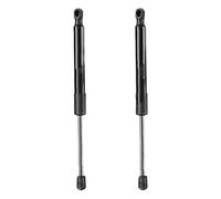 Tailgate Power Lift Support For Tesla For Model 3 2017-2020 2021 2022 2023 Rear Trunk Lid Gas Strut Support Shock 1091560-00-B Tailgate Damper(2 pieces)