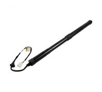 Tailgate Support Struts For Toyota For RAV4 Electric Tailgate Gas Struts 6891042060 Pair Rear Trunk Liftgate Power Hatch Lift Support Opener 2019-2022(Left)