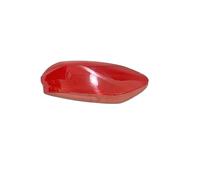 Taillight Protection Cover For Bmw For X6 For G06 2020-2023 Car Rear Lens Light Lamp Case Taillamp Shell Car Taillight Cover(Left)