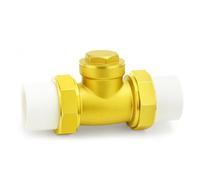 TAILONZ PNEUMATIC 1PCS Brass Check Valve 3/4" DN25 with PPR, One Way Check Valves for Drainage System and Industrial Pipeline System