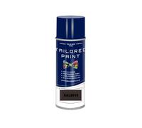 Tailored Paint 2K Direct Gloss Paint RAL Colour Code For Wood, Metal, Plastic, PVC, Car, Motorbike, Moped, Scooter, Tractor (Aerosol Paint Can, RAL8019 Grey Brown)