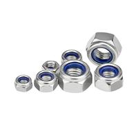 Tainless Steel Hex Nylon Lnsert Self-locking Nut M2 .5 M3 M4 M5 M6 M8 M10 M12 Hexagon Locknut Slip Lock(316,M5-30pcs)