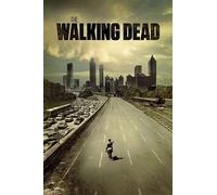 Tainsi ASHER Gift The Walking Dead Poster Borderless Vibrant Premium Movie Poster - Matte poster Frameless Gift 11 x 17 inch(28cm x 43cm)