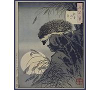 Taiso Yoshitoshi's "Hedgehog Princess Peering at Moon from Cliff": 200 Page Hedgehog Notebook Composition Book Journal Diary Note Book: Volume 1 (Hedgehog Art History Through The Ages Notebooks)