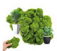 TAIXING 100g Light Green Artificial Moss for Plant Pots, Premium Faux Moss for Interior Landscape Model Making - Odorless