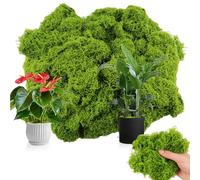 TAIXING 200g Artificial Moss, Light Green Fake Moss Faux Moss, Premium Artificial Moss for Plant Pots, Simulation Fake Plants Moss for Potted Plant Decoration Interior Landscape Model Making, Odorless