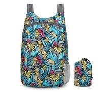 Taiyyi Ultralight Foldable Backpack,Water Resistant Hiking Daypacks,Camping Hiking Biking Travelling Backpack - 20L (A,B,C,D,E,F,G) (C)