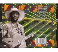Taj Mahal - World Blues