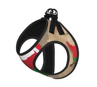 Tajikistan Flag Map With Octagonal Star Print Harness Leash Set For Cat And Small Dog, Adjustable, Reflective, And Escape-Proof Vest With Soft Breathable Mesh Lining