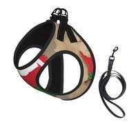 Tajikistan Flag Map With Octagonal Star Print Harness Leash Set For Cat And Small Dog, Adjustable, Reflective, And Escape-Proof Vest With Soft Breathable Mesh Lining