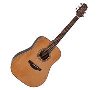 Takamine GD20-NS Dreadnought Acoustic Natural
