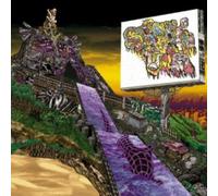 Take Caution On the Beach