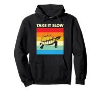 Take It Slow Turtle Lover Owner Introvert Peaceful Vibes Pullover Hoodie