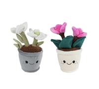 Take Me Home Plush Plant Cuddly Toy Christmas Star 24 cm White Multicoloured