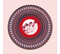 Take That Everything Changes (30th Anniversary) Vinyl LP Picture Disc Zoetrope