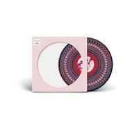 Everything Changes [VINYL]