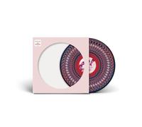 Everything Changes [VINYL]