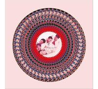 Everything Changes [VINYL]