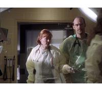 Take These Broken Wings