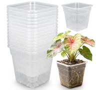 Takingup 15 Pack Clear Nursery Pots, 6 Inch Square Transparent Orchid Pots with Holes - Air Pruning Plastic Plant Pot for Healthier Roots - Clear Plant with Drainage