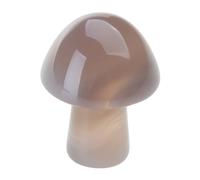 TAKOXIA Crystal Mushrooms Stones Decorations Mushroom Shape Agate Stone Multicolor Mushroom Healing Stone for Flower