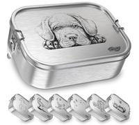 TAKWAY Children's Stainless Steel Lunch Box with Compartments 800 ml Leak-Proof Bento Box with Divisions Variable Lunch Box Nursery School (Dog, Divider)