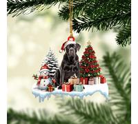 Talataca Cane Corso 2D Flat Christmas Ornament, Cane Corso Gift Boxes Pine Tree Decor, Hanging House Charm Eve Keepsake, Car Rear View Mirror Accessories, Xmas Gift