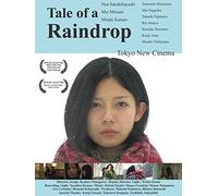 Tale of a Raindrop