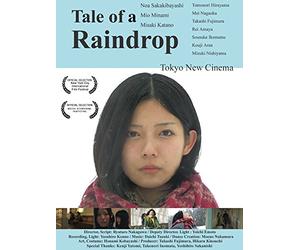 Tale of a Raindrop