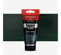 Talens : Amsterdam Expert Acrylic 75ml series 2 Sap Green