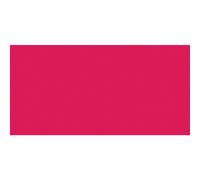 Talens Van Gogh Oil Colour 200ml QUINACRIDONE ROSE S1