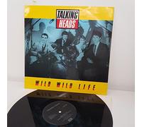 TALKING HEADS - TALKING HEADS, wild wild life, 12"SINGLE, 12EMI 5567