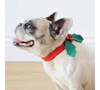 Talking Tables Christmas Dress Up Dog Collar Pet Accessory with Holly Leaf Design