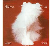 Talking to Turtles - And What'S on Your Mind [VINYL]