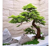 Tall and Realistic Artificial Pine Tree - Faux Evergreen Plant for Indoor/Outdoor Decorations, No Watering Required for Home/Office/Garden(3.5mx3m)