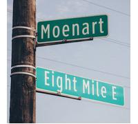 TALL BLACK GUY: 8 MILES TO MOENART - LP vinyl BRAND NEW