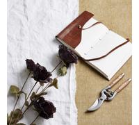 Tall Black Poppy Stem