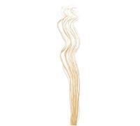 Tall Spiral Willow Twigs Bunch For Floor Standing Vases And Displays 40 Twigs by Homestreet® (WASHED)