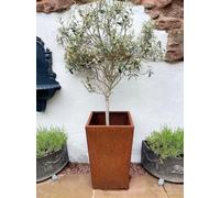 Tall Square Rusty Planter, Outdoor Plant Pot Holder, Large Metal Rust Plant Pot, Rustic Metal Plant Pot Tub, Outdoor Garden Metal Tub, Garden Planter, Tree Plant Pot, Extra Large Outdoor Pot