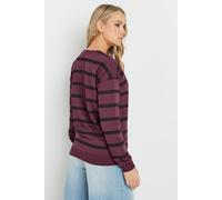 Tall Striped Crew Neck Sweatshirt Long Tall Sally Burgundy 14