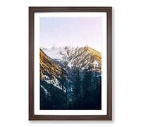 Tall Trees Framed Print | A2 Walnut Framed Wall Art | Ready to Hang | Modern Floral Picture | Living Room Bedroom Lounge Office