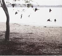 Tallest Man on Earth - There?S No Leaving Now