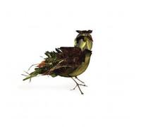 Tallest Trees - Ostrich Or The Lark