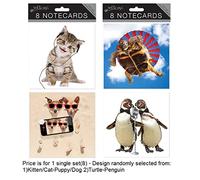 Tallon 8 Large Square Note Cards Crazy Animals Design - Pack of 8 (Random Design)