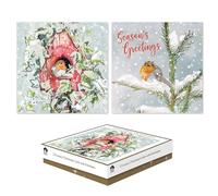 Tallon Box of 12 Luxury Christmas Cards - Square Robin Designs with Envelopes - Traditional Festive Greeting Card Set