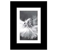 Tallon Photo Frame - Black - 4''x 6''