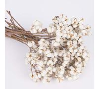 Tallow Berries Dried, Natural Stem Wedding Floral Décor Tallow Berries Dried Flower Dried Plants Natural Stem Bouquet Farmhouse Style Floral Decoration Wreath DIY Handicraft